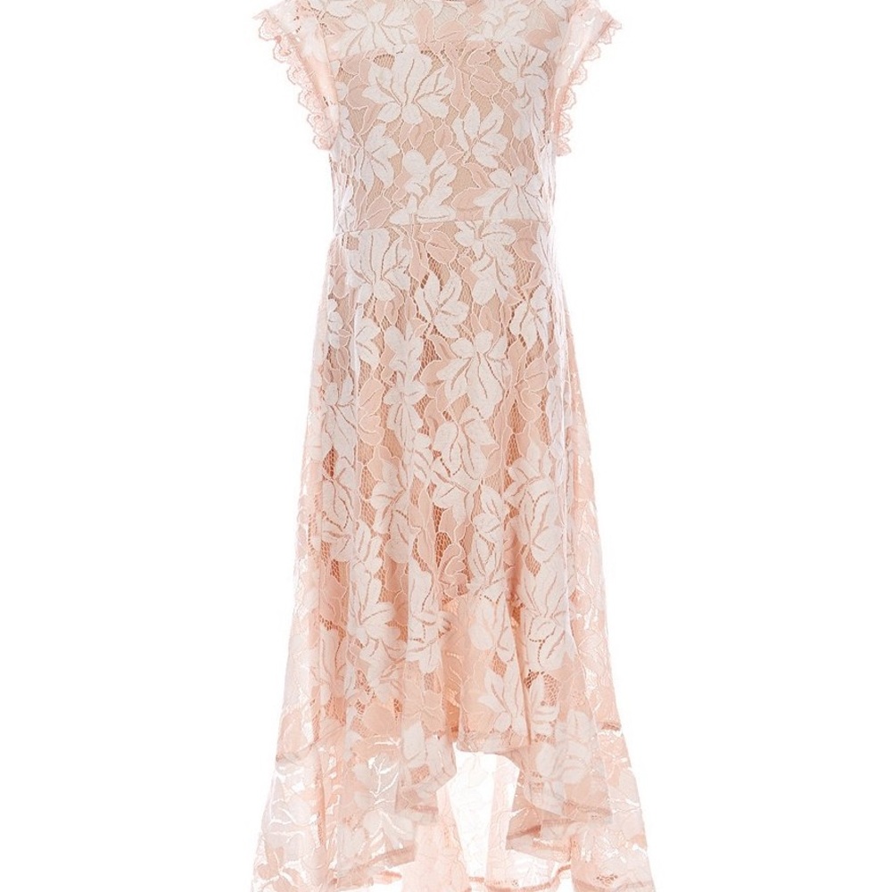 Charming Floral High Low Lace Dress in Soft Pink